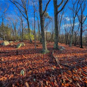 Photo #5 of 338 Sierra Trace, Denton, NC 1.8 acres