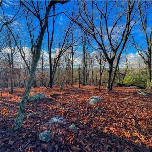 Photo #4 of 338 Sierra Trace, Denton, NC 1.8 acres