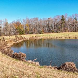 Photo #5 of 6605 Phillippi, Liberty, NC 20.5 acres