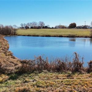 Photo #24 of 6605 Phillippi, Liberty, NC 20.5 acres