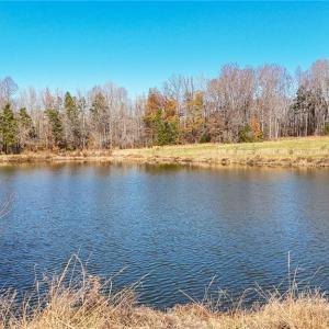 Photo #8 of 6605 Phillippi, Liberty, NC 20.5 acres