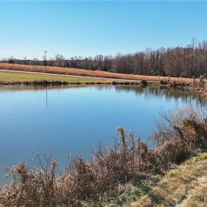 Photo #25 of 6605 Phillippi, Liberty, NC 20.5 acres