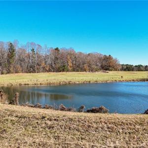 Photo #4 of 6605 Phillippi, Liberty, NC 20.5 acres