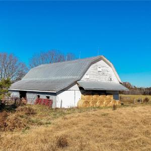 Photo #6 of 6654 Phillippi, Liberty, NC 10.0 acres