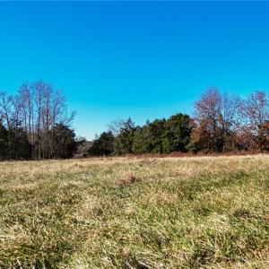 Photo #7 of 6654 Phillippi, Liberty, NC 10.0 acres