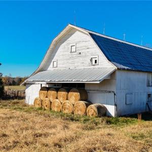 Photo #1 of 6654 Phillippi, Liberty, NC 10.0 acres