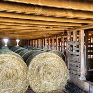 Photo #5 of 6654 Phillippi, Liberty, NC 10.0 acres