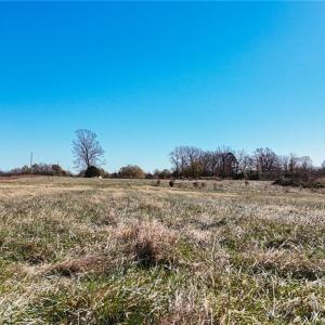 Photo #10 of 6654 Phillippi, Liberty, NC 10.0 acres