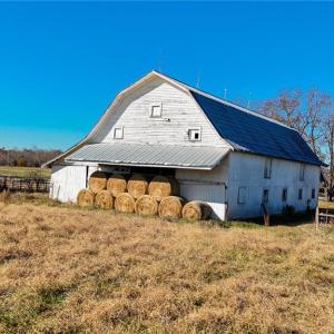 Photo #15 of 6654 Phillippi, Liberty, NC 10.0 acres