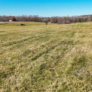 Photo #6 of 6641 Phillippi, Liberty, NC 10.4 acres