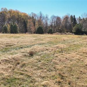 Photo #17 of 6436 Beulah Church, Liberty, NC 30.4 acres