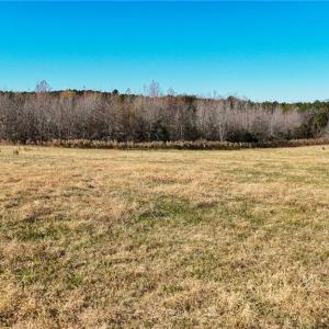 Photo #16 of 6436 Beulah Church, Liberty, NC 30.4 acres