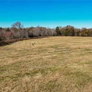 Photo #12 of 6436 Beulah Church, Liberty, NC 30.4 acres