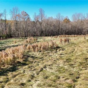 Photo #19 of 6436 Beulah Church, Liberty, NC 30.4 acres