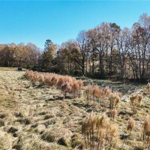 Photo #20 of 6436 Beulah Church, Liberty, NC 30.4 acres