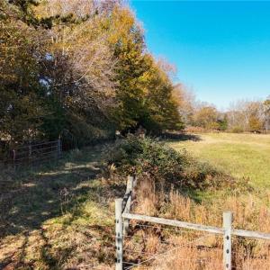 Photo #10 of 6436 Beulah Church, Liberty, NC 30.4 acres