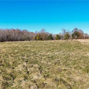 Photo #18 of 6436 Beulah Church, Liberty, NC 30.4 acres