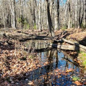 Photo #4 of 6436 Beulah Church, Liberty, NC 30.4 acres