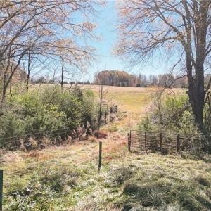 Photo #8 of 6436 Beulah Church, Liberty, NC 30.4 acres