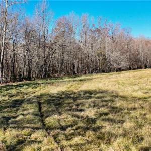 Photo #3 of 6436 Beulah Church, Liberty, NC 30.4 acres