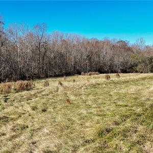 Photo #14 of 6436 Beulah Church, Liberty, NC 30.4 acres