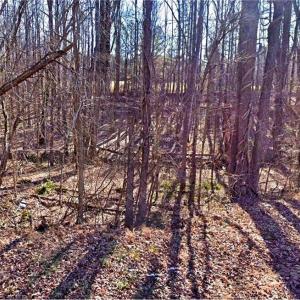 Photo #3 of Gravitte, Roxboro, NC 1.3 acres