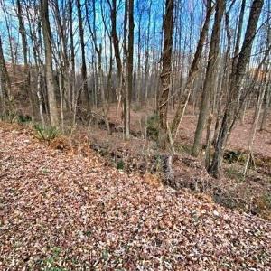 Photo #5 of Gravitte, Roxboro, NC 1.3 acres
