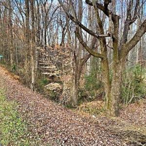 Photo #4 of Gravitte, Roxboro, NC 1.3 acres