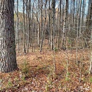 Photo #8 of Gravitte, Roxboro, NC 1.3 acres