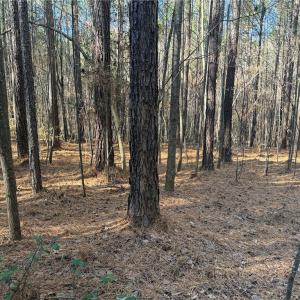 Photo #6 of Lot 4 Woods, Seagrove, NC 11.3 acres
