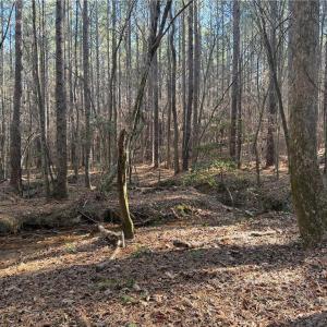 Photo #13 of Lot 4 Woods, Seagrove, NC 11.3 acres