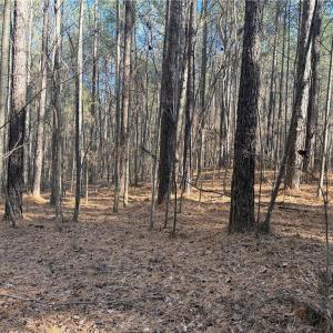 Photo #7 of Lot 4 Woods, Seagrove, NC 11.3 acres