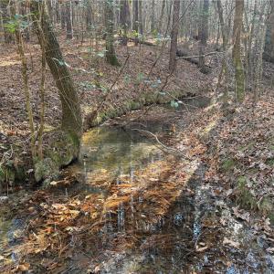 Photo #9 of Lot 4 Woods, Seagrove, NC 11.3 acres