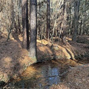 Photo #10 of Lot 4 Woods, Seagrove, NC 11.3 acres