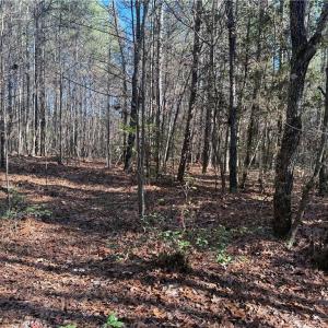 Photo #14 of Lot 4 Woods, Seagrove, NC 11.3 acres