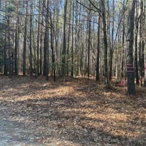 Photo #15 of Lot 4 Woods, Seagrove, NC 11.3 acres