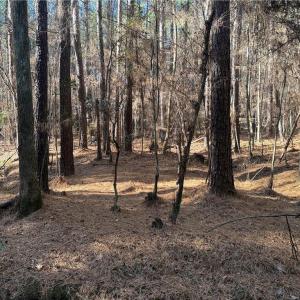 Photo #11 of Lot 4 Woods, Seagrove, NC 11.3 acres