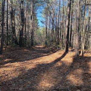 Photo #4 of Lot 4 Woods, Seagrove, NC 11.3 acres