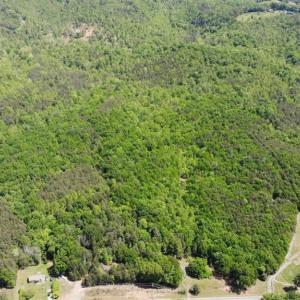 Photo #23 of 1928 Frye, Westfield, NC 77.0 acres