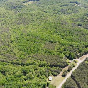 Photo #27 of 1928 Frye, Westfield, NC 77.0 acres