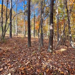 Photo #6 of 1928 Frye, Westfield, NC 77.0 acres