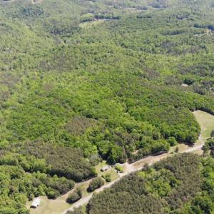 Photo #26 of 1928 Frye, Westfield, NC 77.0 acres