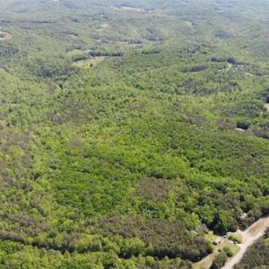 Photo #28 of 1928 Frye, Westfield, NC 77.0 acres
