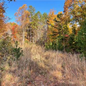 Photo #5 of 1928 Frye, Westfield, NC 77.0 acres