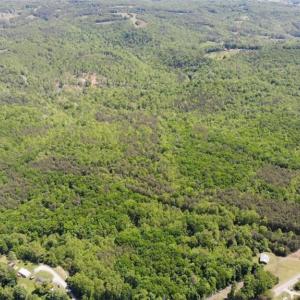 Photo #30 of 1928 Frye, Westfield, NC 77.0 acres