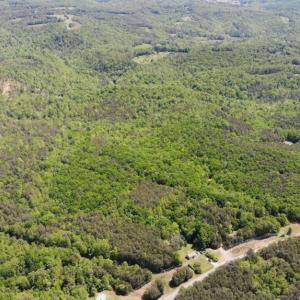 Photo #34 of 1928 Frye, Westfield, NC 77.0 acres