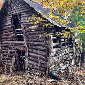 Photo #4 of 1928 Frye, Westfield, NC 77.0 acres