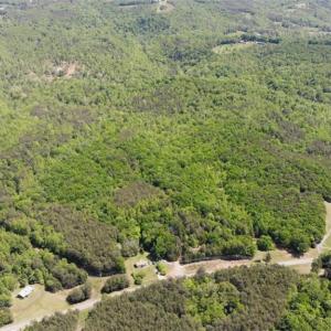Photo #25 of 1928 Frye, Westfield, NC 77.0 acres