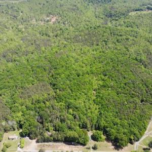 Photo #21 of 1928 Frye, Westfield, NC 77.0 acres