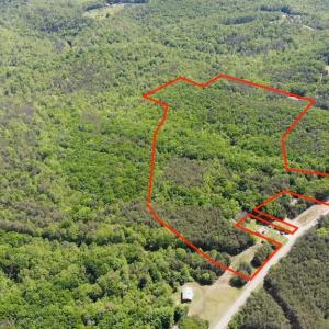 Photo #2 of 1928 Frye, Westfield, NC 77.0 acres